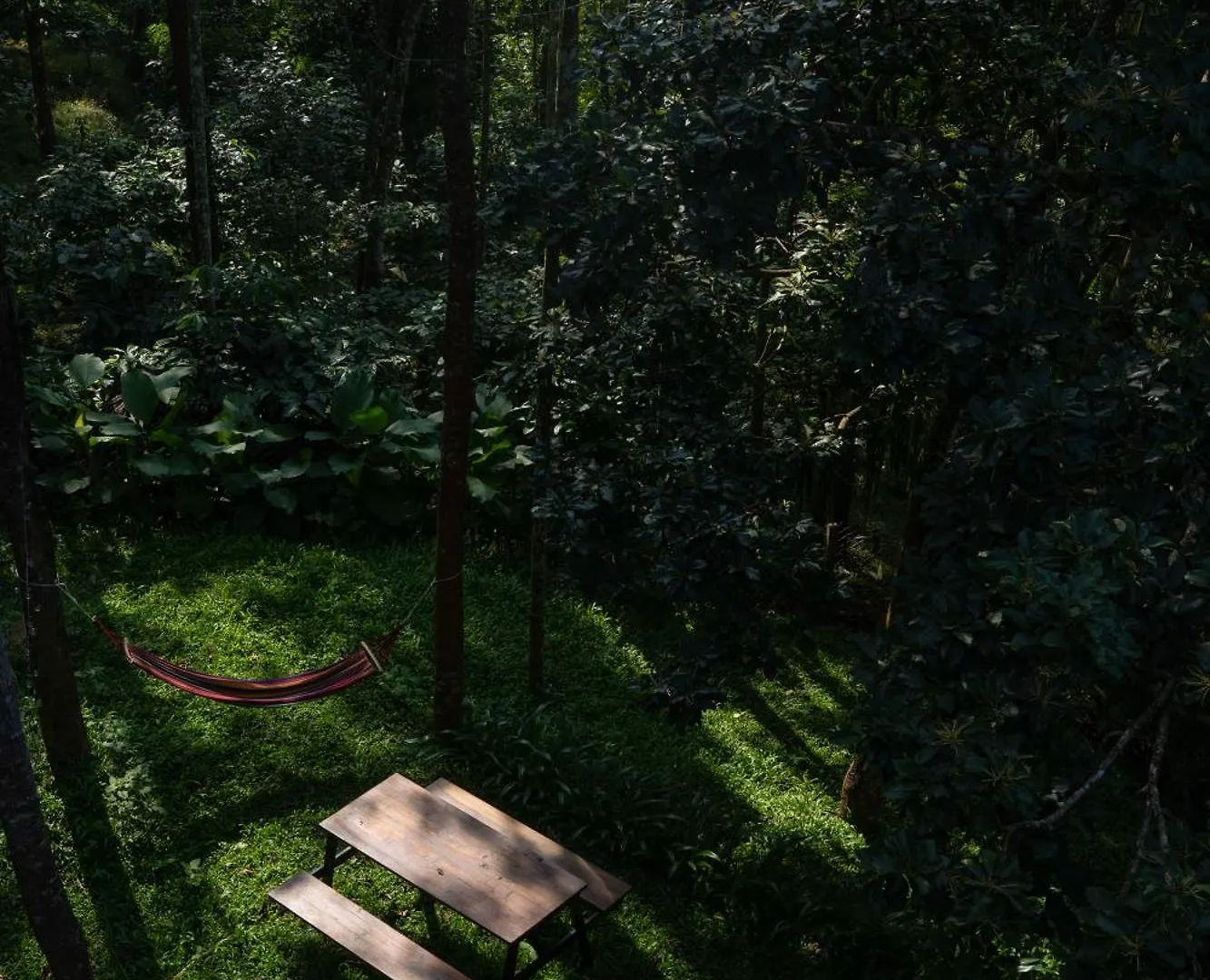 Lushearth Nordic Glass House In Wayanad Villa Szultán Bathery