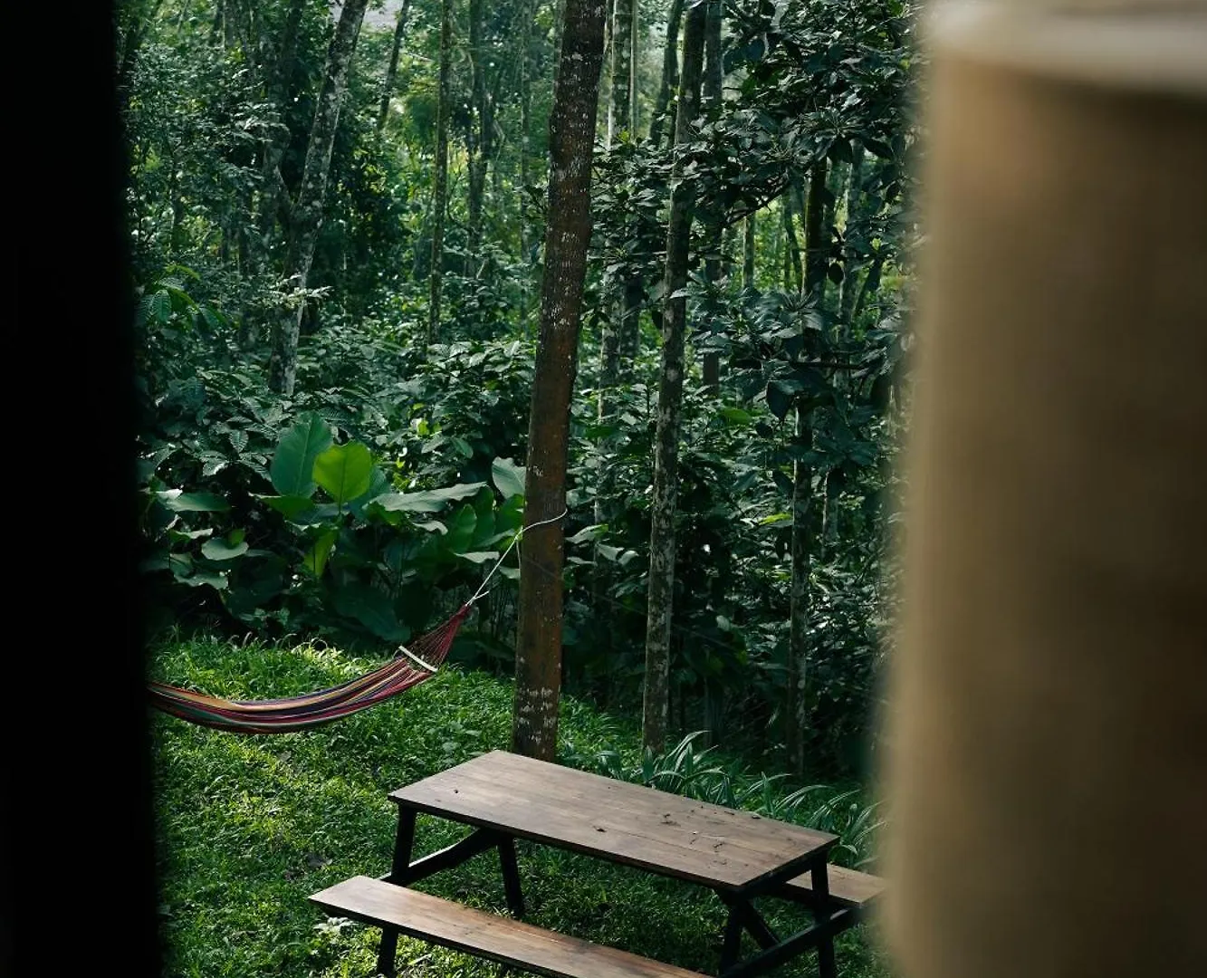 Lushearth Nordic Glass House In Wayanad Villa Szultán Bathery Nyaraló