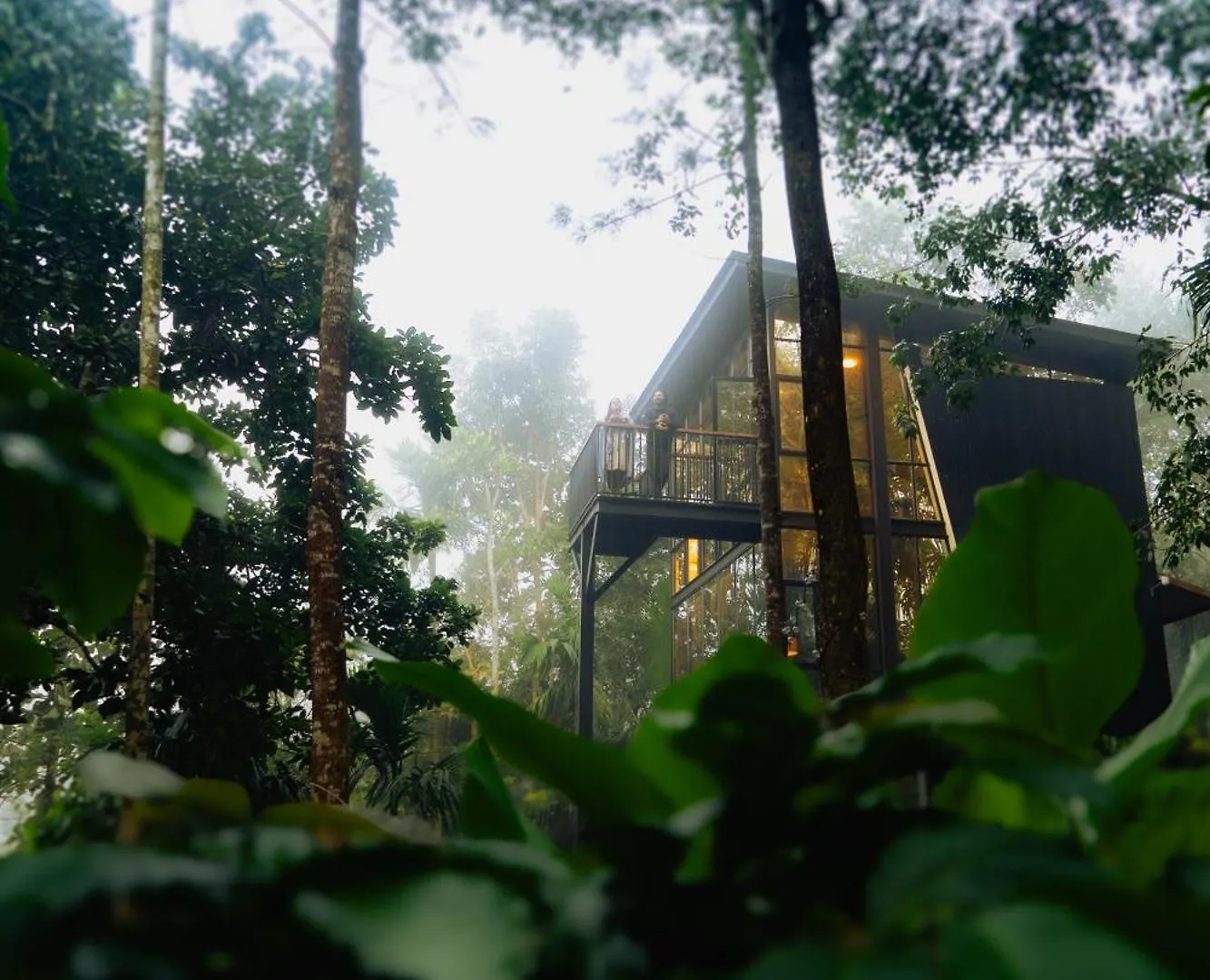 Lushearth Nordic Glass House In Wayanad Villa Sultan Bathery